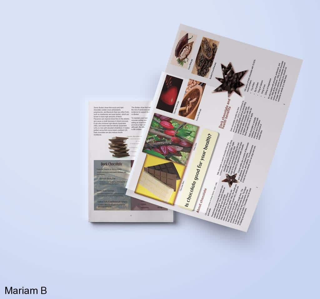 Web & Print Design Portfolio 15 Mariam Cheaitou Bazzi Web & Print Design Portfolio Chocolate health information brochure design featuring dark chocolate photography and educational content, created for a graphic design portfolio in Windsor, Ontario.