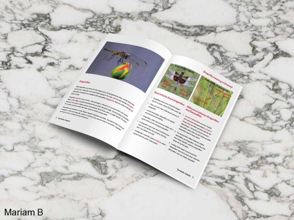 Web & Print Design Portfolio 16 Mariam Cheaitou Bazzi Web & Print Design Portfolio Educational editorial spread about dragonflies featuring photography, typography and page layout by a Windsor, Ontario graphic designer.