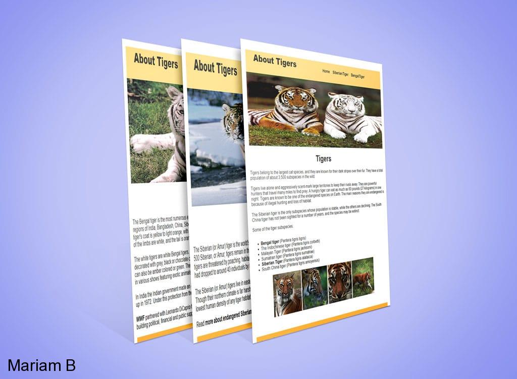 Web & Print Design Portfolio 4 Mariam Cheaitou Bazzi Web & Print Design Portfolio Informational website design featuring photography, written content and navigation by a Windsor, Ontario web designer.