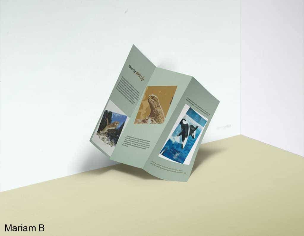Web & Print Design Portfolio 18 Mariam Cheaitou Bazzi Web & Print Design Portfolio Wildlife tri-fold informational brochure featuring animal photography and educational content by a Windsor, Ontario graphic designer.
