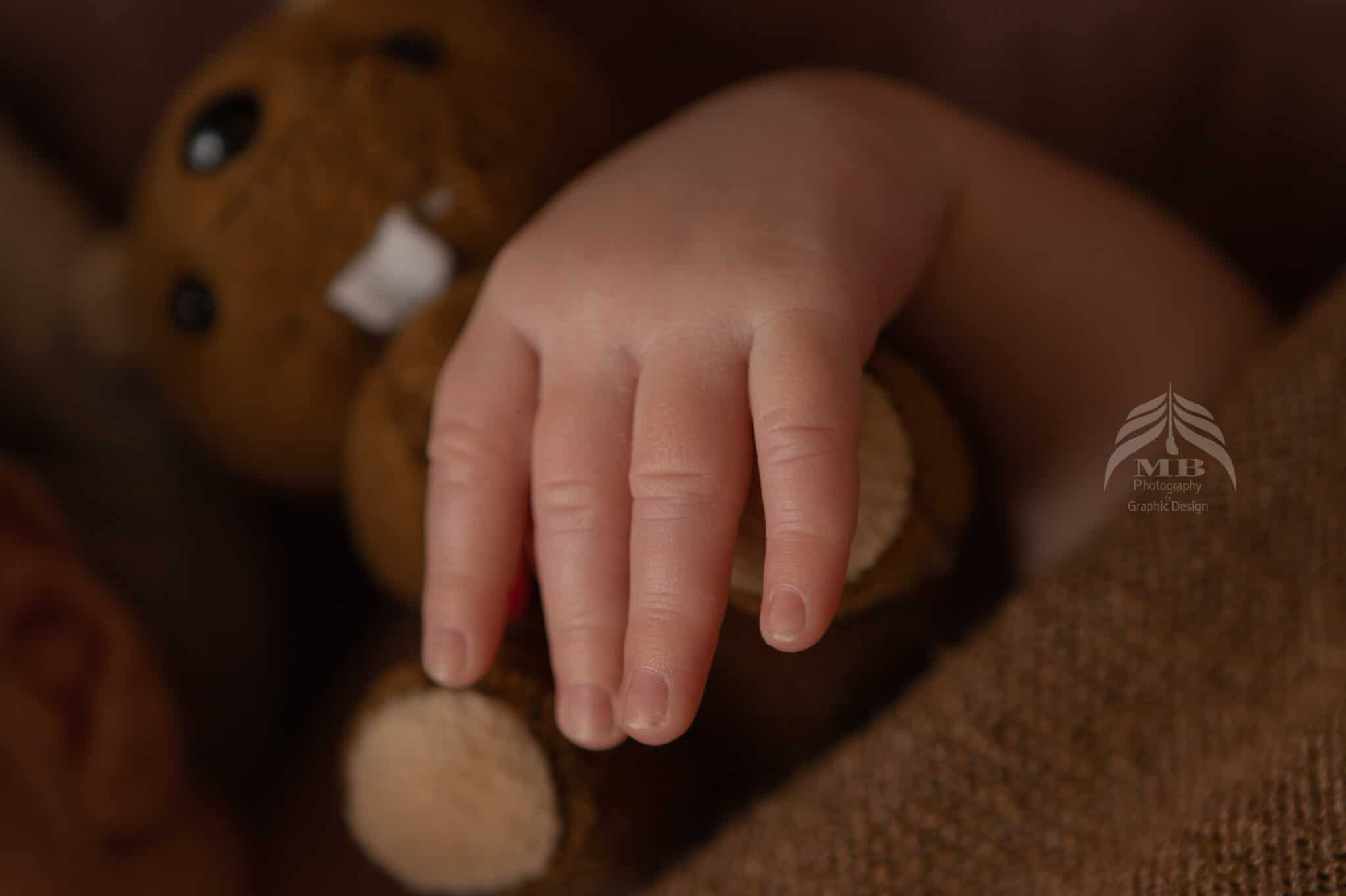 windsor ontario newborn baby hand teddy bear detail Mariam Cheaitou Bazzi