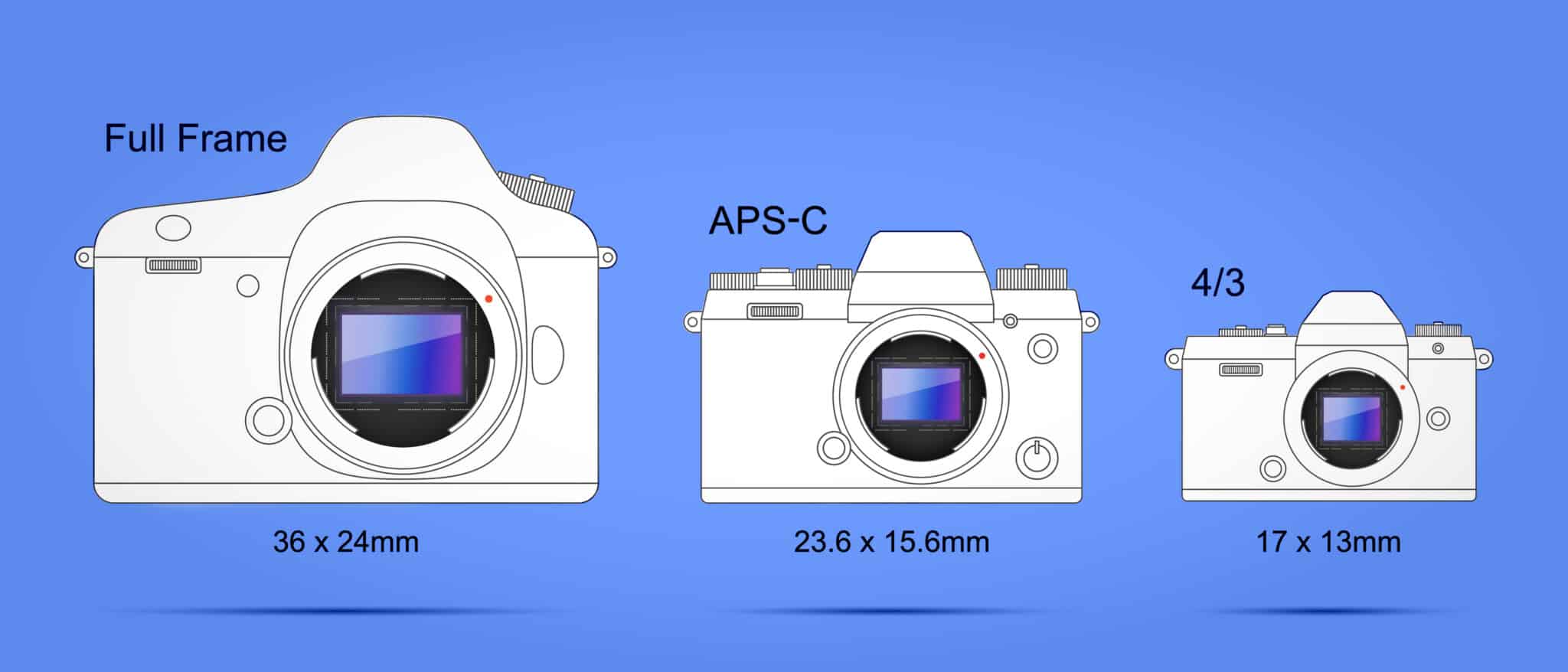 Diagram comparing full frame, APS-C, and Four Thirds camera sensor dimensions